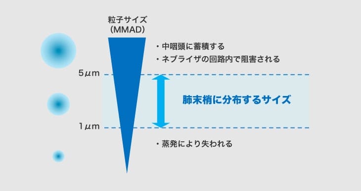 エアロゾル粒子の大きさと肺への送達