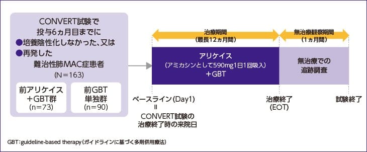 INS-312試験の試験デザイン