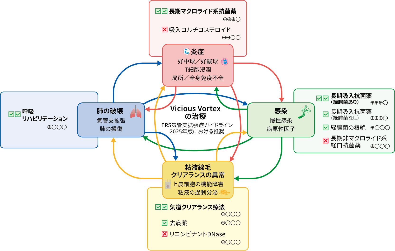 ERS気管支拡張症ガイドライン2025年版で評価されたVicious Vortexに対する治療